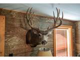 18880 County Road 500 - Photo 20
