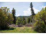 18880 County Road 500 - Photo 8