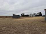31905 County Road 4 Rd - Photo 43