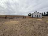 31905 County Road 4 Rd - Photo 44