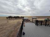 31905 County Road 4 Rd - Photo 8