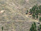 6319 Sunshine Canyon Dr - Photo 10