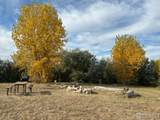 16486 Burghley Ct - Photo 34