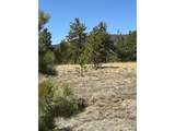 2841 Singletree Rd - Photo 17