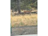 2841 Singletree Rd - Photo 18