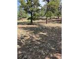 2841 Singletree Rd - Photo 27