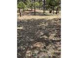 2841 Singletree Rd - Photo 32