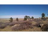 4318 Green Mile Dr - Photo 40