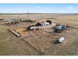 901 County Road 3 - Photo 27