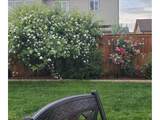 3477 Janus Dr - Photo 32