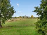 8418 Stirrup Ln - Photo 36