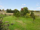 8418 Stirrup Ln - Photo 38