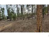 1421 Jicarilla Trl - Photo 10
