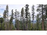 1421 Jicarilla Trl - Photo 8