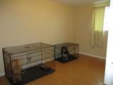 343 Knotty Pl - Photo 5