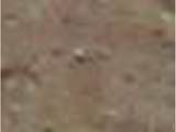 343 Knotty Pl - Photo 9
