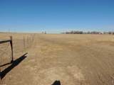 0 County Road 14 1/2 - Photo 9