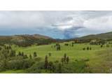 14884 Rist Canyon Rd - Photo 2