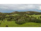 14884 Rist Canyon Rd - Photo 31