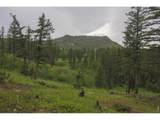 14884 Rist Canyon Rd - Photo 33