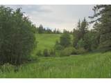 14884 Rist Canyon Rd - Photo 37