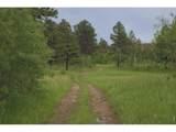 14884 Rist Canyon Rd - Photo 39