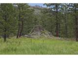 14884 Rist Canyon Rd - Photo 40