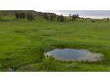 14884 Rist Canyon Rd - Photo 41