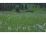14884 Rist Canyon Rd - Photo 42
