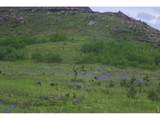 14884 Rist Canyon Rd - Photo 46