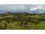 14884 Rist Canyon Rd - Photo 5