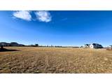 1508 Flowering Tree Ct - Photo 4