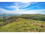1600 Whale Rock Rd - Photo 10