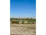 11534 Eagle Springs Trl - Photo 10