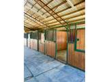 11534 Eagle Springs Trl - Photo 12