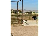 11534 Eagle Springs Trl - Photo 13