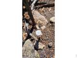 1367 Osage Trl - Photo 11