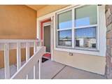 511 Lucca Dr - Photo 2