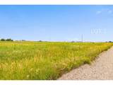 346 Tbd County Road - Photo 15