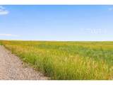 346 Tbd County Road - Photo 17