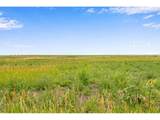 346 Tbd County Road - Photo 21