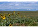 346 Tbd County Road - Photo 3