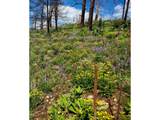 957 Stringtown Gulch Rd - Photo 1