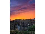 957 Stringtown Gulch Rd - Photo 11