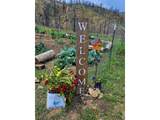 957 Stringtown Gulch Rd - Photo 12