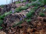 957 Stringtown Gulch Rd - Photo 6