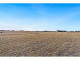 32789 Eagleview Dr - Photo 14