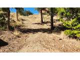 347 Deer Trail Cir - Photo 8