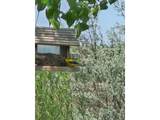 317 Sunset Dr - Photo 2