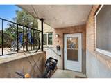 1009 Mchugh St - Photo 38